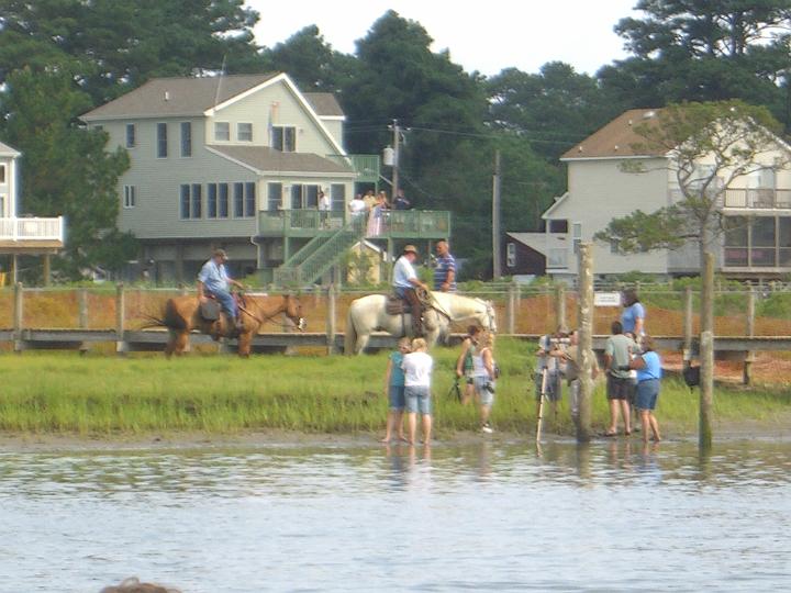 Chincoteague Pony Swim July 2007 026.JPG